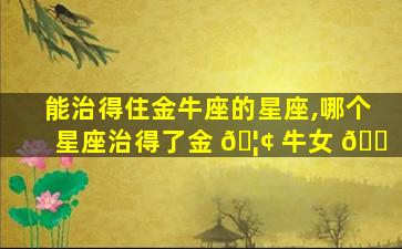 能治得住金牛座的星座,哪个星座治得了金 🦢 牛女 🐠